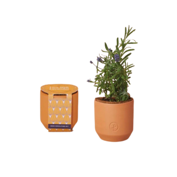 Tiny Terracotta Grow Kits Image 1