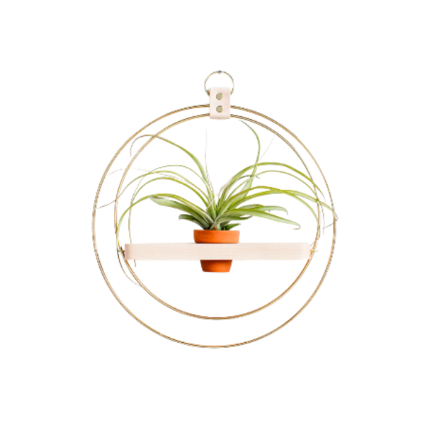 Plant Shelf Image 1