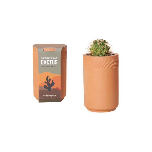 Terracotta Kit - Cactus Image 1