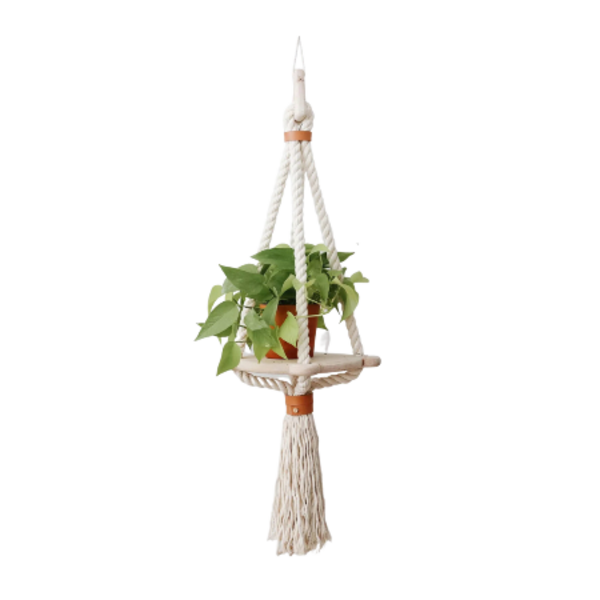 Hanging Planter Image 1