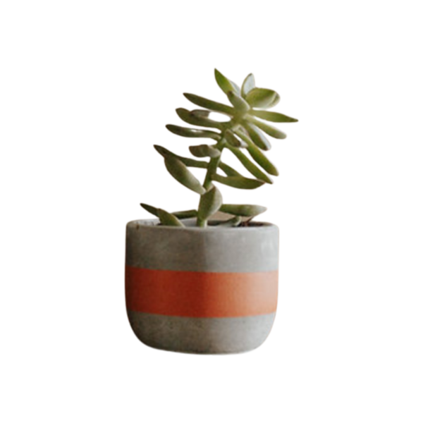 Concrete Planter Image 1