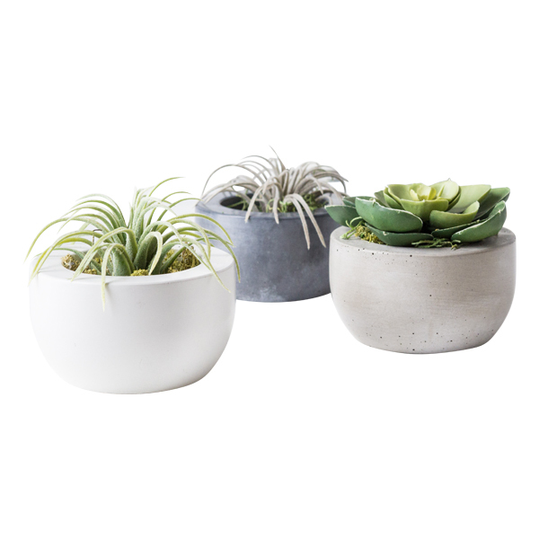 Concrete Planters Image 1