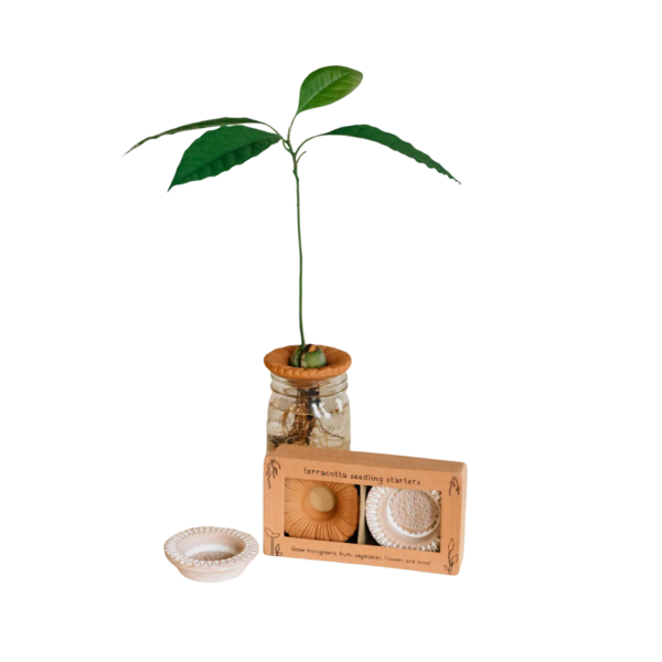 Product images of Bija Floral Seed Sprouter Set