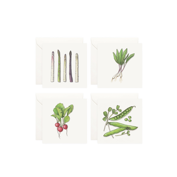 Mini Watercolor Cards + Envelopes Set
