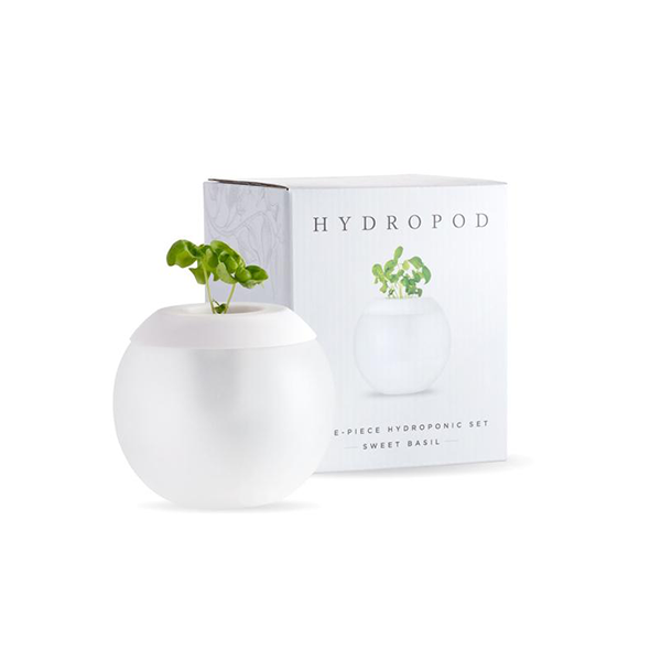 The Hydropod Basil Plant Grower Image 1