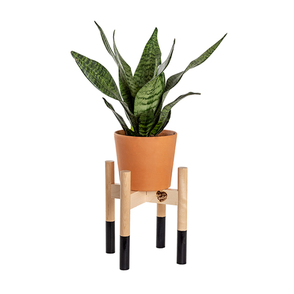 Modern Wood Plant Stand Image 1