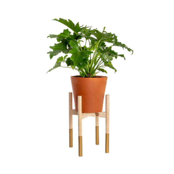 Plant Stand Image 1