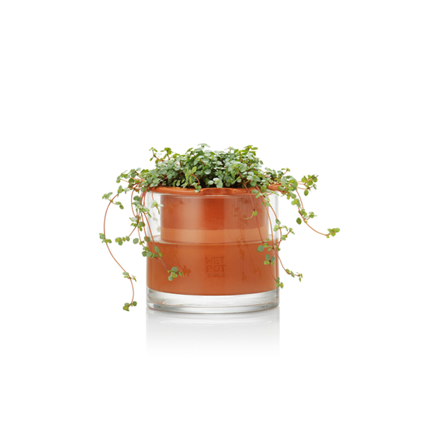 Self-Watering Terracotta Pot Image 1
